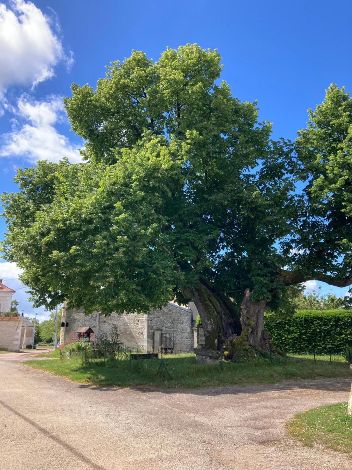 Longere Campagne 10 Pers. Proche Guedelon Villa Sougeres-en-Puisaye Bagian luar foto